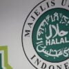 Jasa Logistik akan Berlaku Wajib Sertifikasi Halal pada 2024