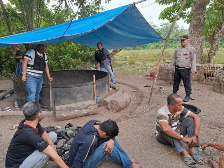 Polsek Tanah Abang Gerbek Arena Perjudian Sabung Ayam