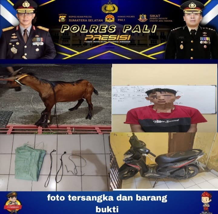 Diduga Mencuri Kambing, Pemuda Asal Desa Prabumenang di Bekuk Polisi