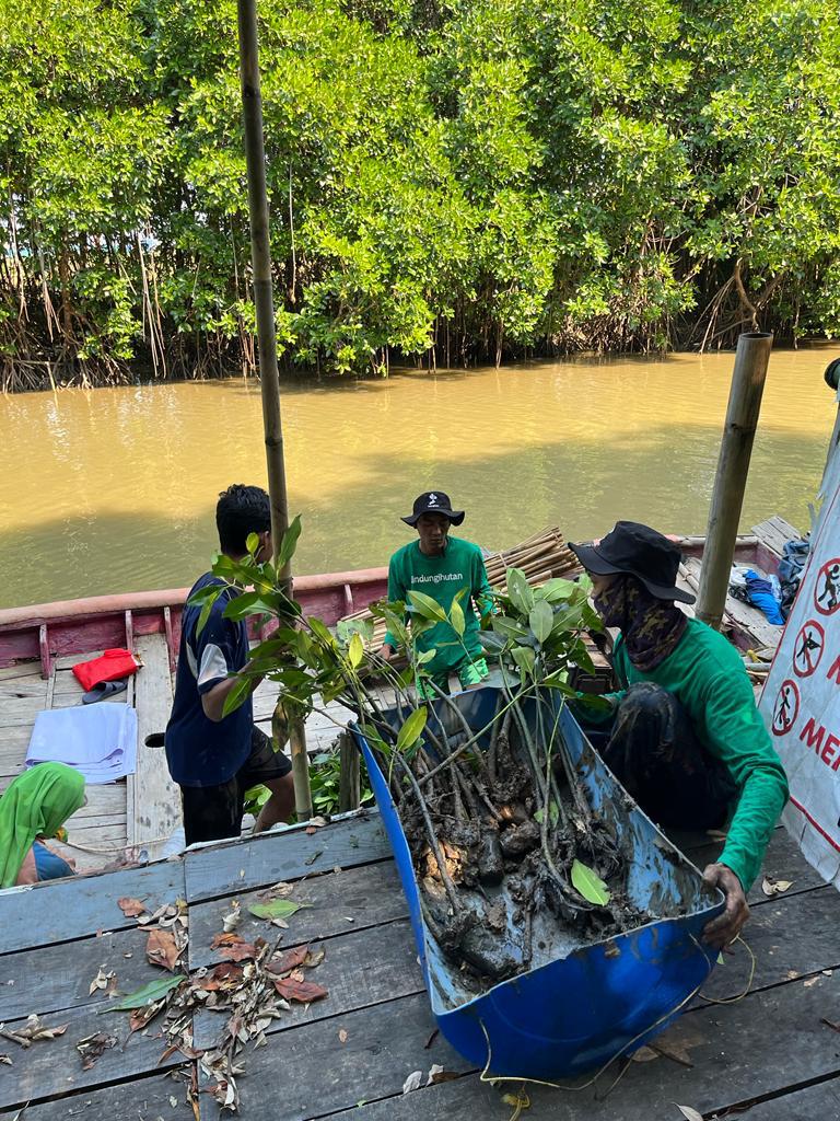 Prosesi persiapan penanaman oleh Mitra Petani lokal 