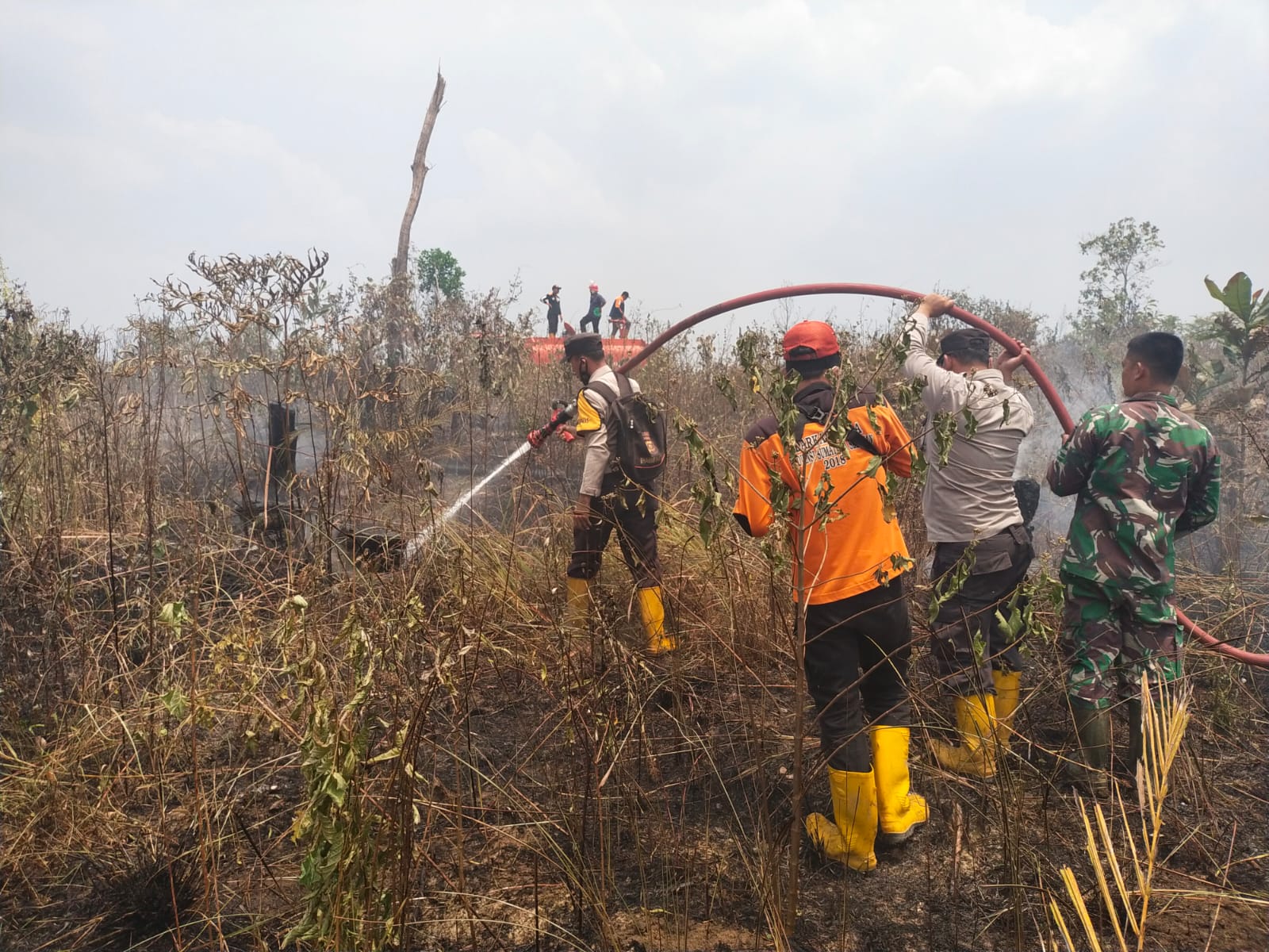 Hutan dan Lahan Desa Sungai Baung Terbakar Polisi dan Tim Gabungan Berjibaku Padamkan Api