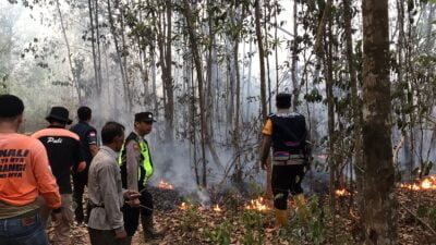 Seluas 4 Hektar Lahan Terbakar Didesa Sukamaju PALI
