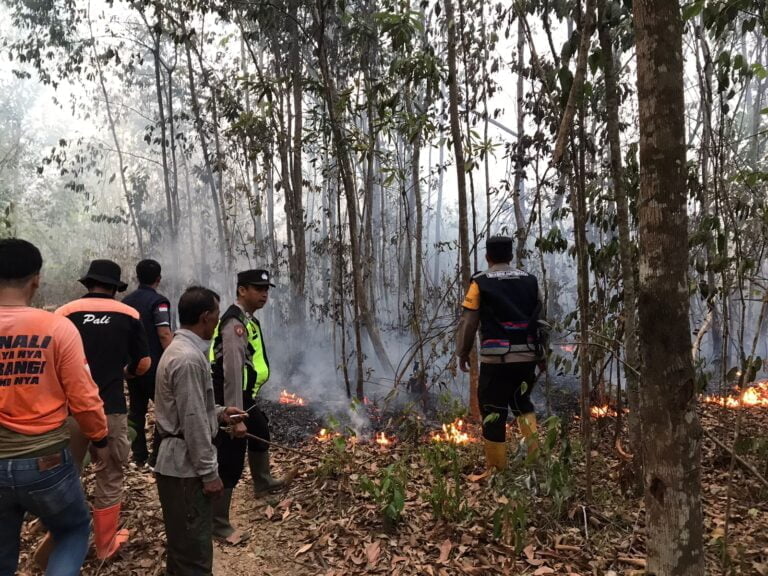 Seluas 4 Hektar Lahan Terbakar  Didesa Sukamaju PALI