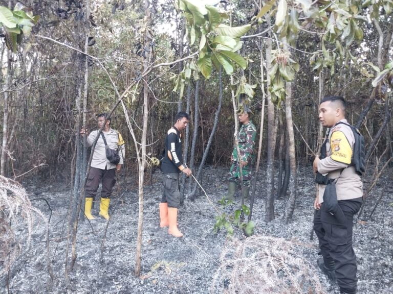 Kebakaran Hutan dan Lahan Kembali Terjadi Diwilayah Kabupaten PALI