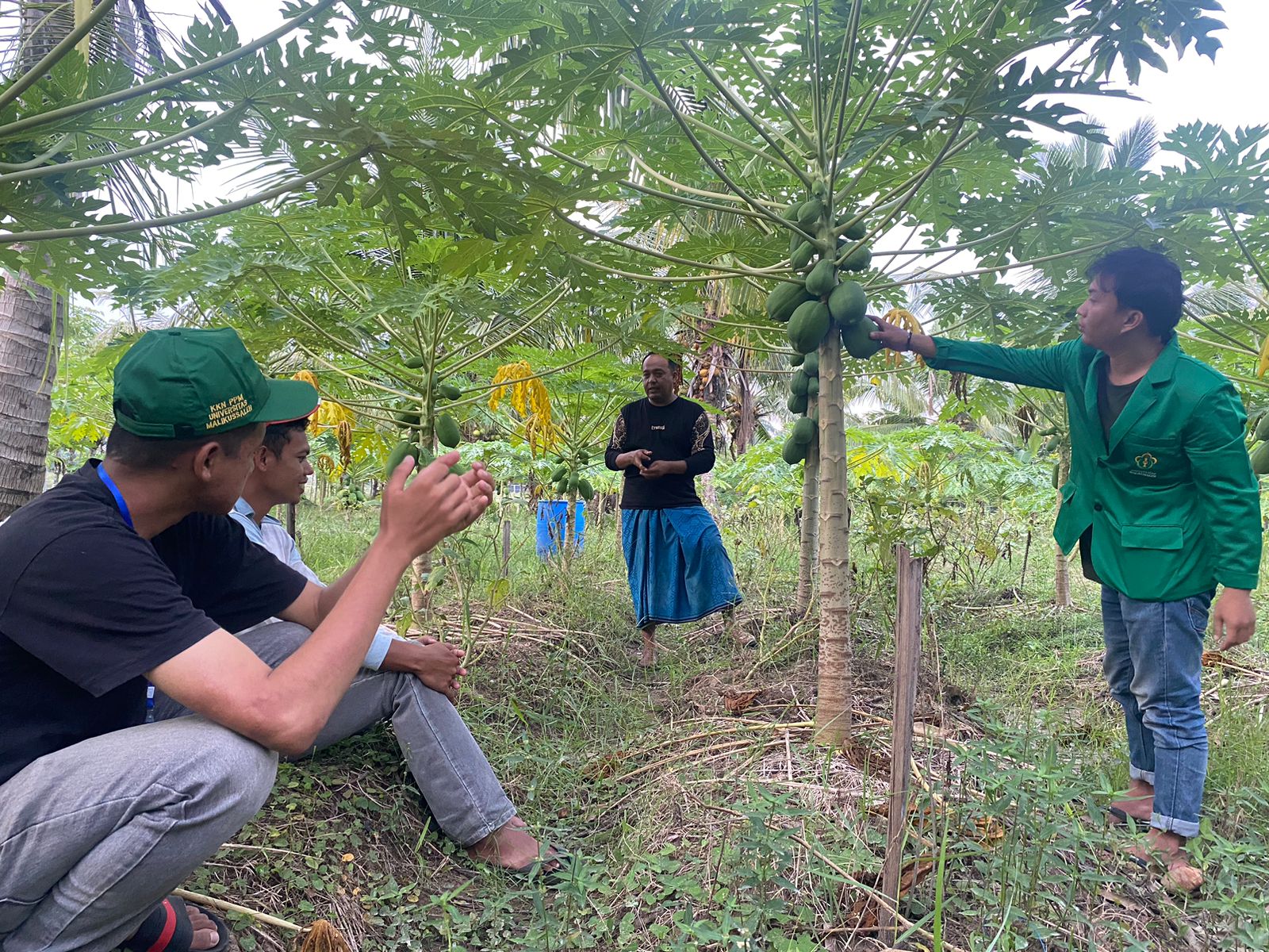 KKN-PPM Unimal K-16 Identifikasi dan Beri Solusi Masalah Perkebunan Warga di Kambam, Aceh Utara