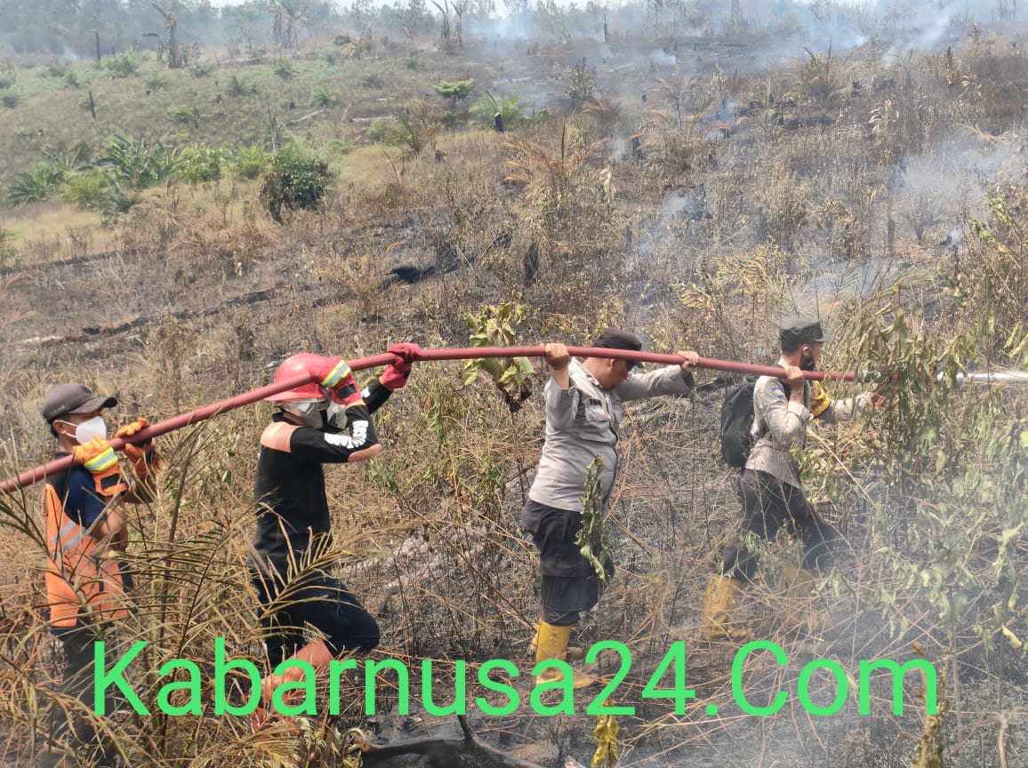 Hutan dan Lahan Desa Sungai Baung Terbakar Polisi dan Tim Gabungan Berjibaku Padamkan Api