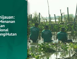 Rayakan Hari Menanam Pohon dan Bulan Menanam Nasional, LindungiHutan Luncurkan Program “Musim Penghijauan” di 28 Lokasi