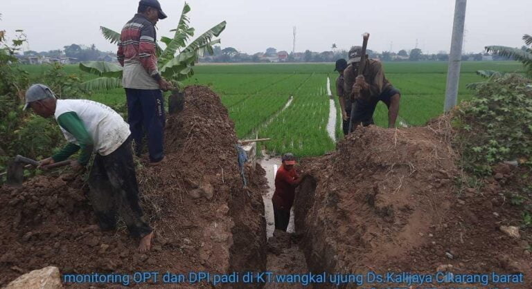 Dinas Pertanian Terus Lakukan Pompanisasi dan Normalisasi Aliran Sungai untuk Pertanian