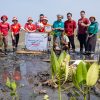 Hijaukan Teluk Benoa, Akulaku Group Tanam 1.001 Mangrove Gandeng LindungiHutan