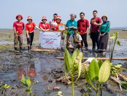 Hijaukan Teluk Benoa, Akulaku Group Tanam 1.001 Mangrove Gandeng LindungiHutan