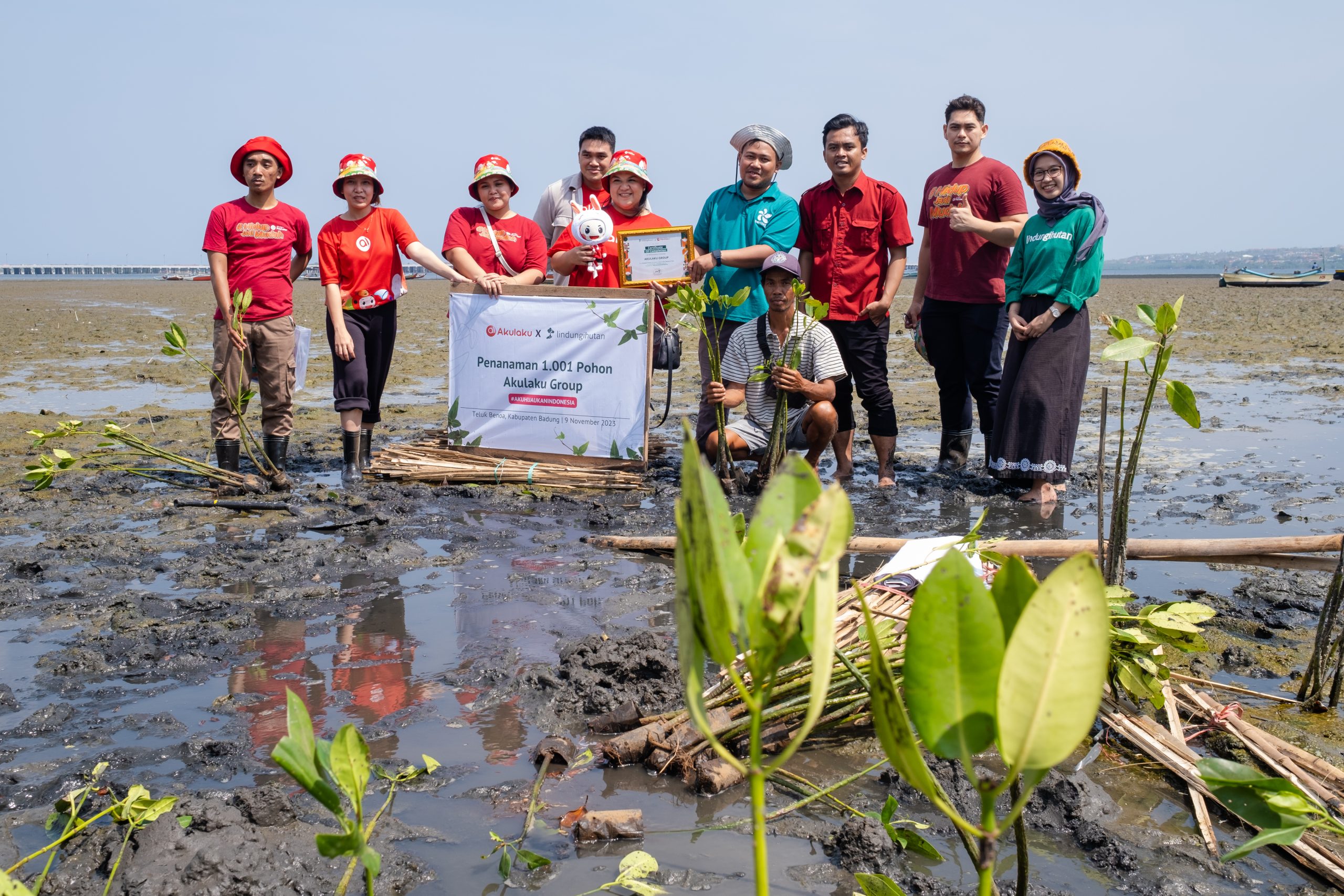 Hijaukan Teluk Benoa, Akulaku Group Tanam 1.001 Mangrove Gandeng LindungiHutan