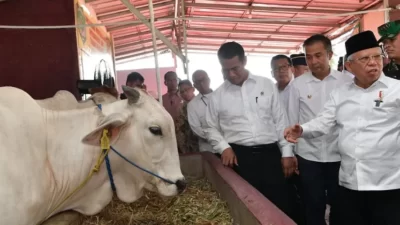 Jawab Persoalan Pangan, Wapres Hadiri Kick Off Gerakan Nasional Ketahanan Pangan