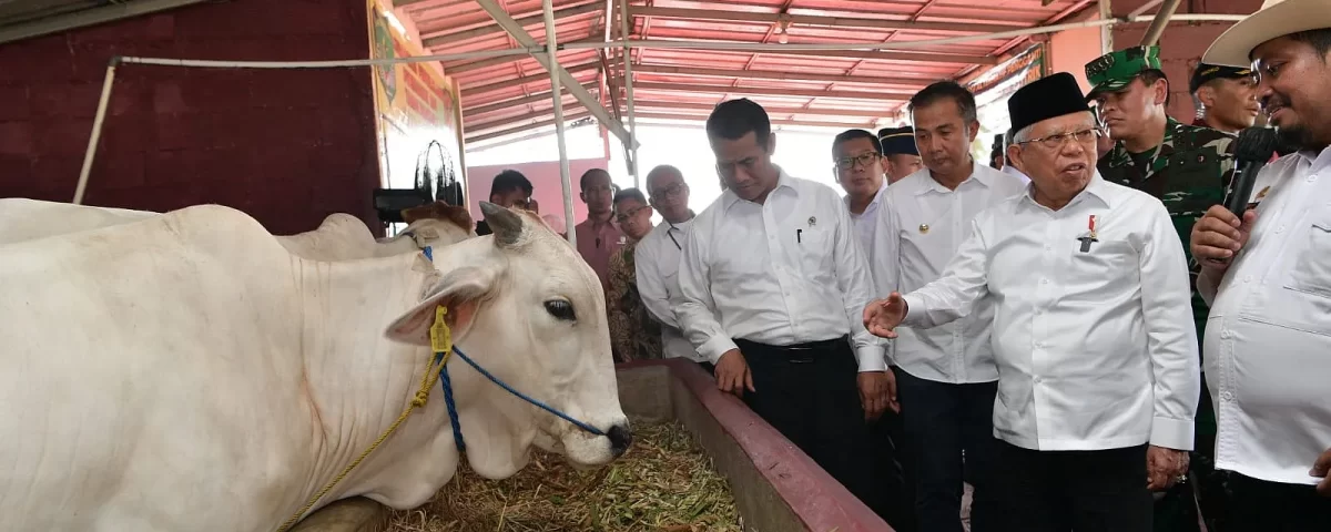 Jawab Persoalan Pangan, Wapres Hadiri Kick Off Gerakan Nasional Ketahanan Pangan