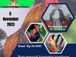 Hidupkan Kelestarian Madura, AMI Gelar Festival Ayam Kekok Hidupkan Kelestarian Madura, AMI Gelar Festival Ayam Kekok
