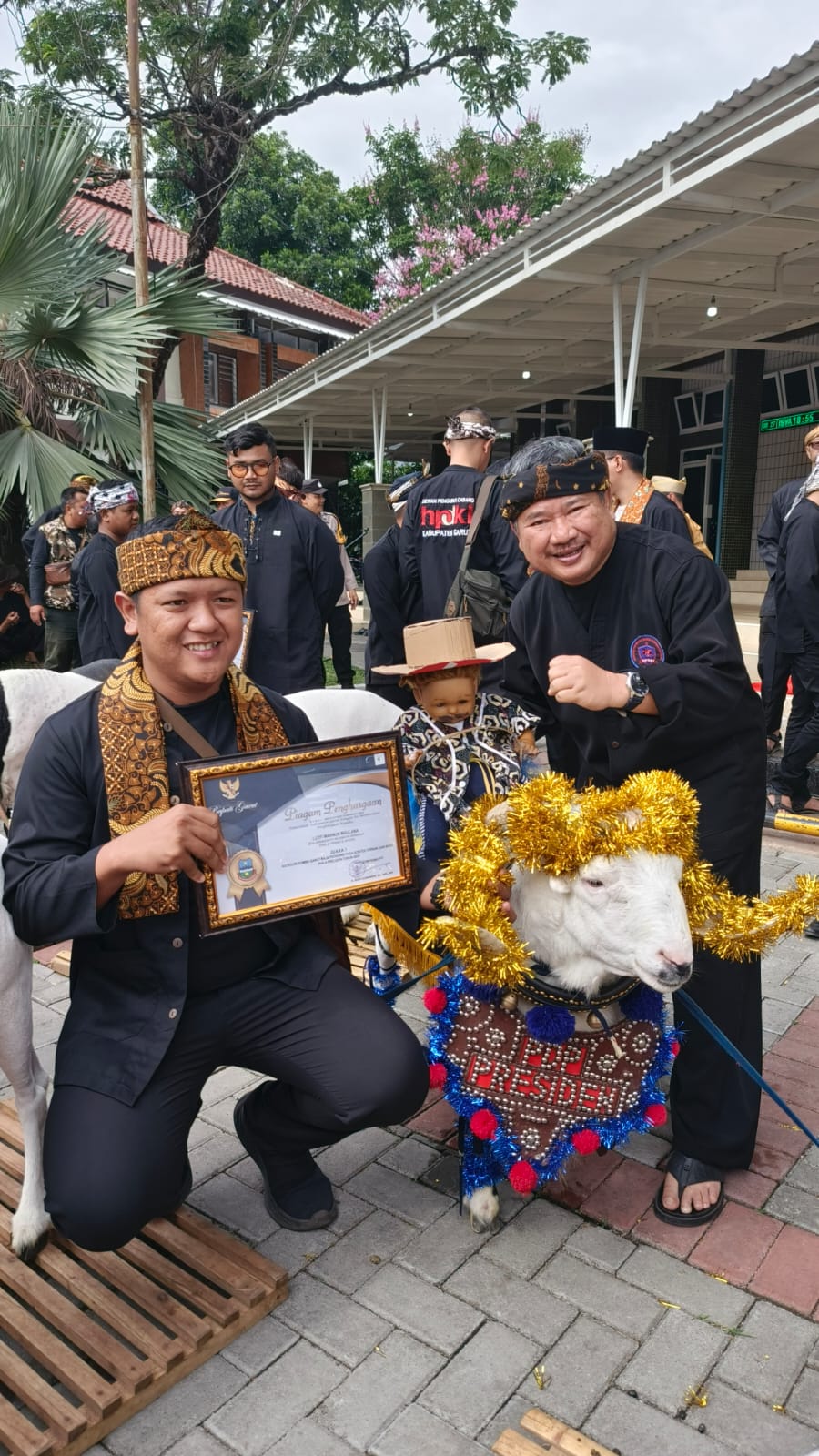 Pertahankan Keaslian Genetik Domba Garut di Pasang_Chip