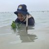 Sedekah Pohon Peserta Fun Walk ISEF 2023 x Hijrahfest Tanam Seribu Mangrove di Pulau Pari