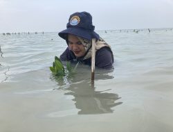 Sedekah Pohon Peserta Fun Walk ISEF 2023 x Hijrahfest Tanam Seribu Mangrove di Pulau Pari