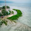 Kolaborasi LindungiHutan dan Smiling Coral Indonesia Hadirkan Harapan Baru untuk Lautan