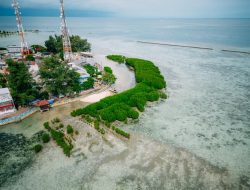 Kolaborasi LindungiHutan dan Smiling Coral Indonesia Hadirkan Harapan Baru untuk Lautan