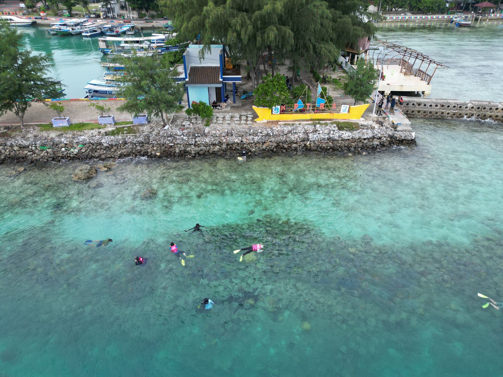 Lokasi transplantasi karang. (Dokumentasi: Smiling Coral Indonesia)