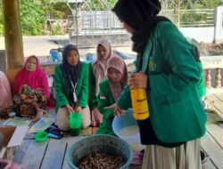 KKN PPM Kelompok 104 Adakan Kegiatan Sosialisasi Pembuatan Pupuk Organik Cair Dari Bahan Baku Bonggol Pisang