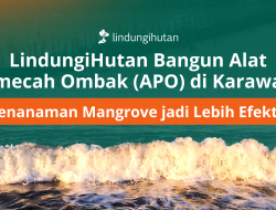 LindungiHutan Melalui Inisiatif Barunya, Ajak Perusahaan Jalankan Proyek Kolaborasi Berdampak