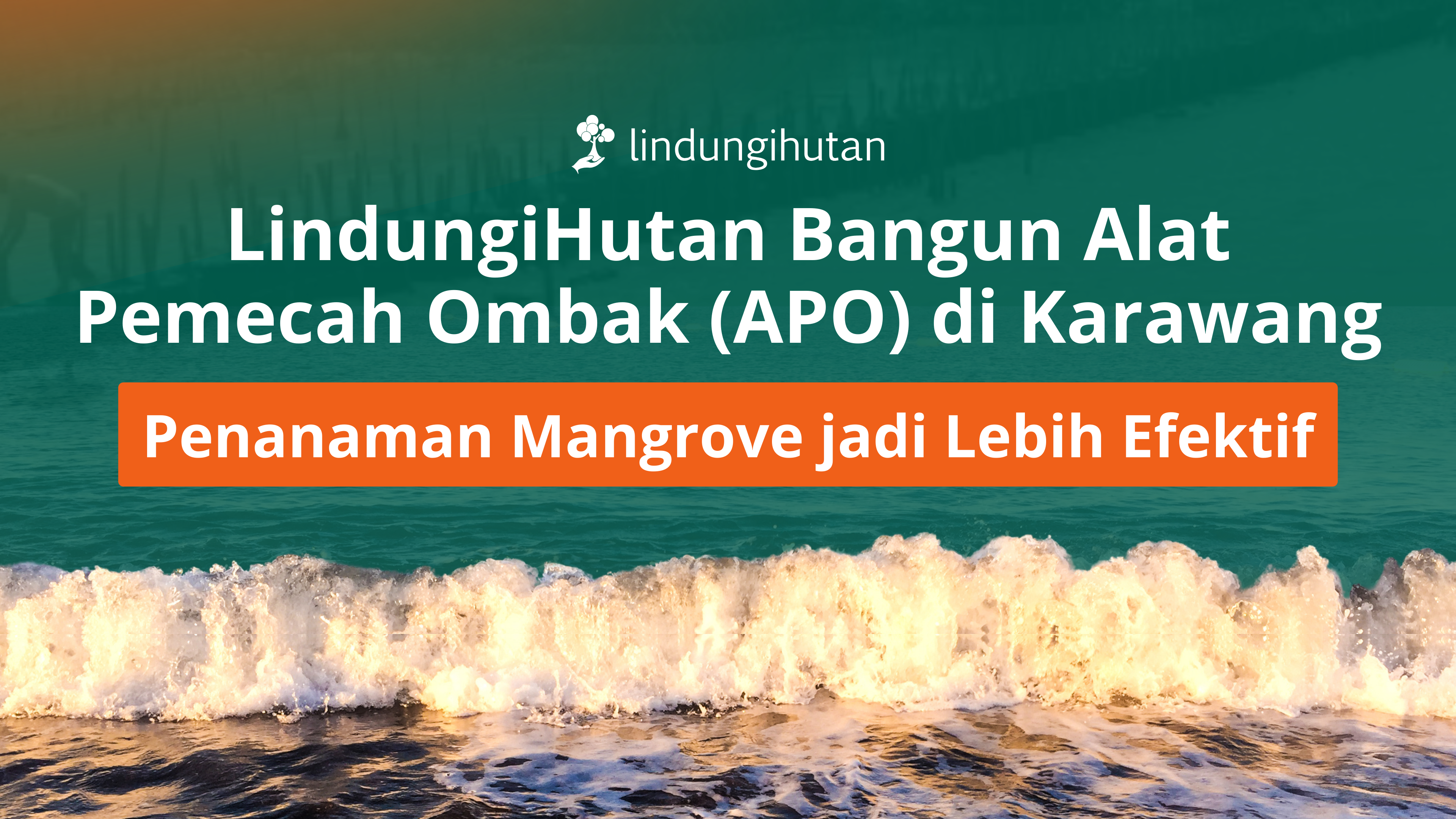 LindungiHutan Melalui Inisiatif Barunya, Ajak Perusahaan Jalankan Proyek Kolaborasi Berdampak