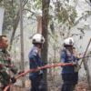 6 Unit Mobil Damkar Dikerahkan Untuk Atasi Kebakaran Lahan Kering di Gunung Pati