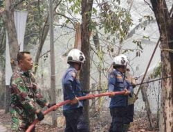 6 Unit Mobil Damkar Dikerahkan Untuk Atasi Kebakaran Lahan Kering di Gunung Pati
