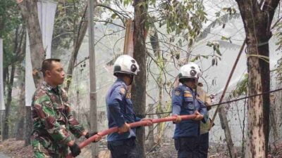 6 Unit Mobil Damkar Dikerahkan Untuk Atasi Kebakaran Lahan Kering di Gunung Pati