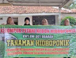 Metode Hidroponik Solusi Cerdas untuk Ketahanan Pangan di Desa Lambangsari Kabupaten Bekasi