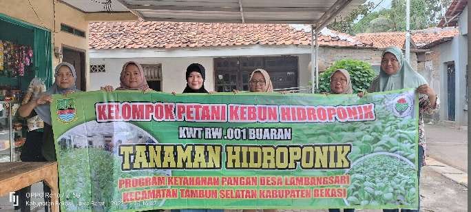 Metode Hidroponik Solusi Cerdas untuk Ketahanan Pangan di Desa Lambangsari Kabupaten Bekasi