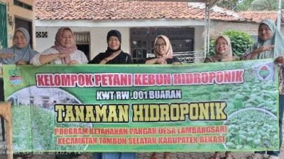 Manfaatkan Pekarangan Rumah di Budidaya Sayuran Hidroponik Desa Lambangsari