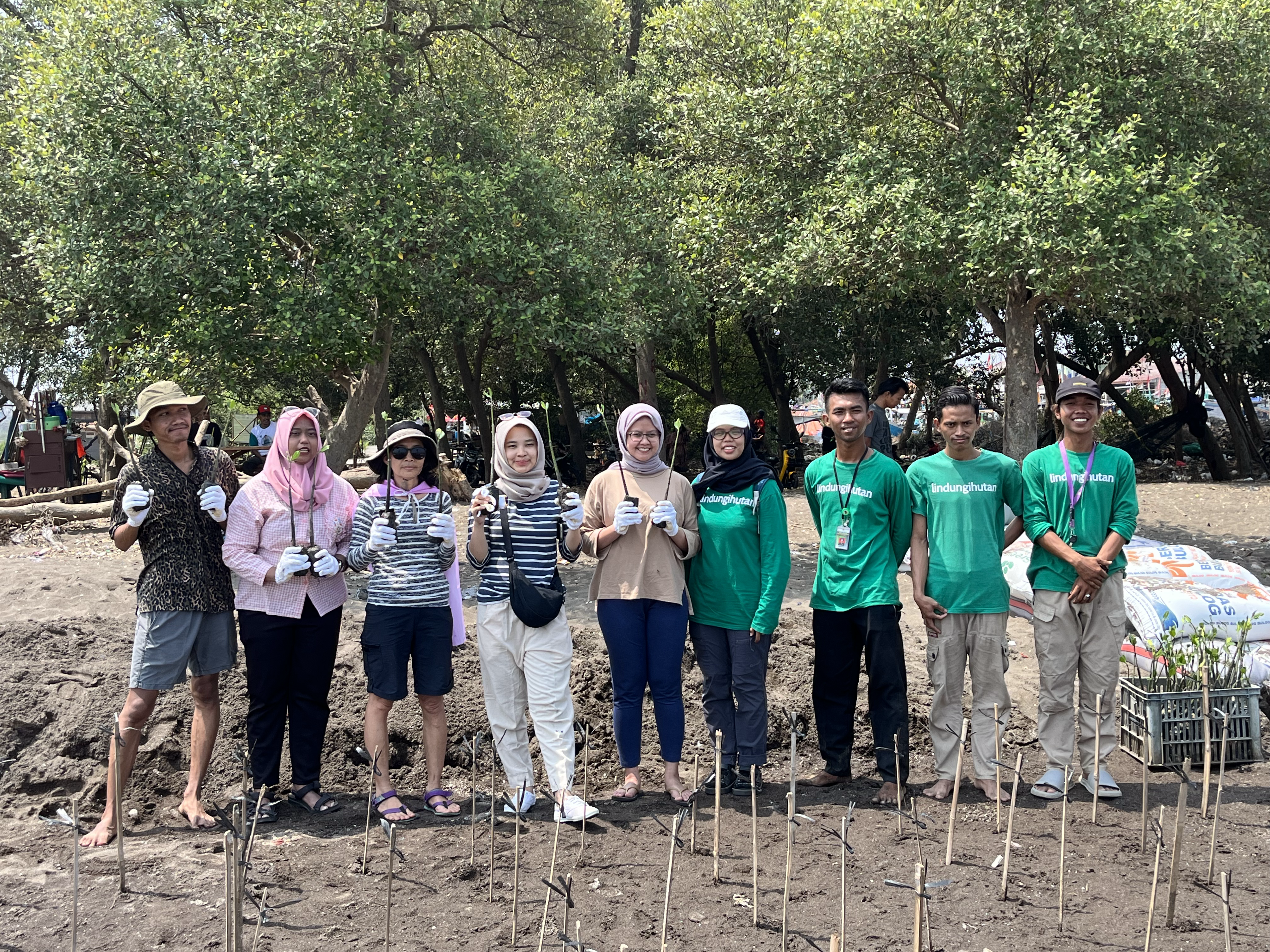 XR Indonesia Ajak Masyarakat Sadar Isu Lingkungan dengan Menanam Mangrove di Tangerang