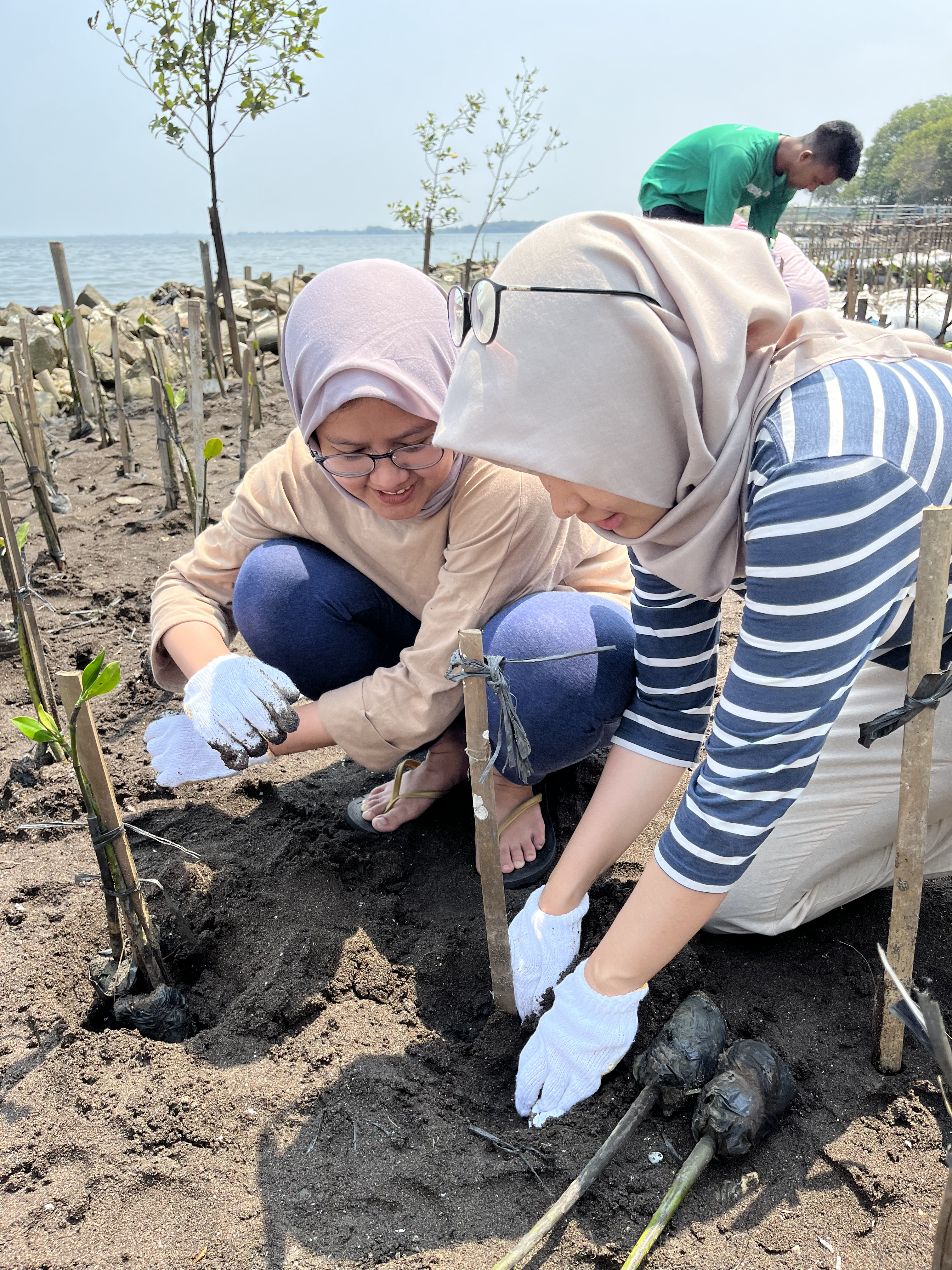 Penanaman mangrove di Desa Sukawali, Tangerang (Dokumentasi: LindungiHutan).