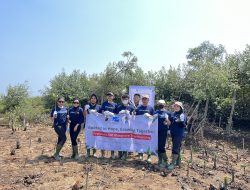 Lestarikan Bumi, PT Praisindo Teknologi Tanam 500 Mangrove di Sukawali Kabupaten Tangerang