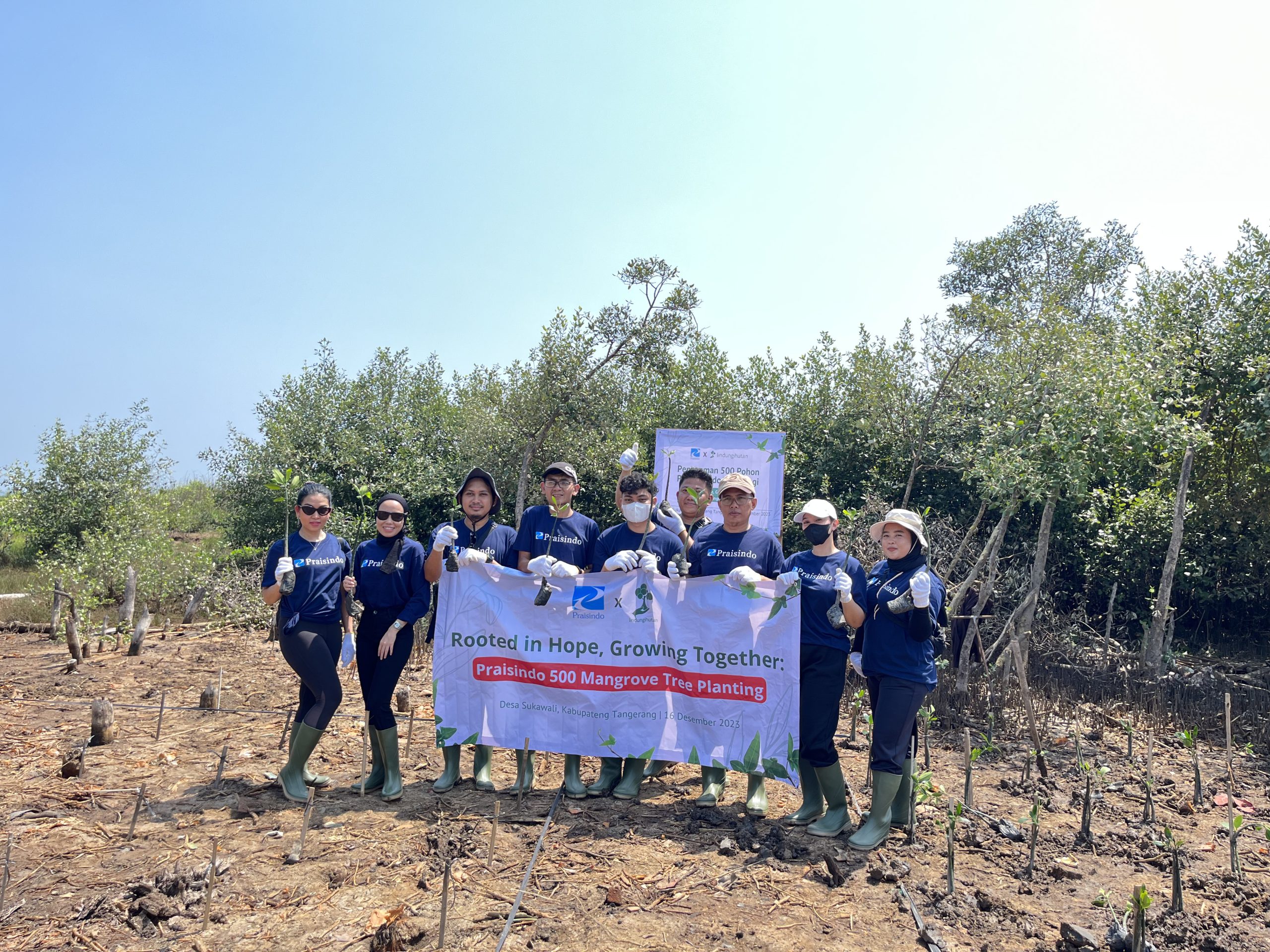 Lestarikan Bumi, PT Praisindo Teknologi Tanam 500 Mangrove di Sukawali Kabupaten Tangerang