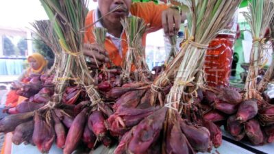 Kenali Khasiat Bawang Dayak untuk Kesehatan