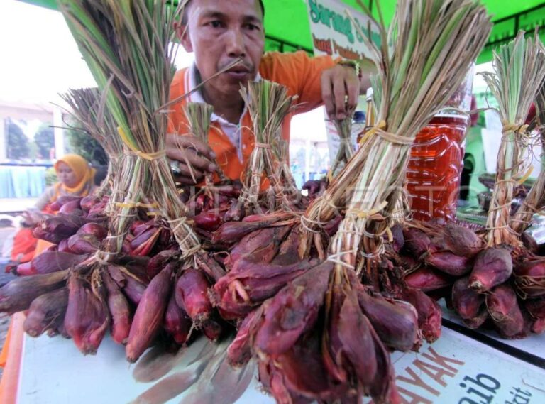 Kenali Khasiat Bawang Dayak untuk Kesehatan