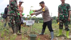 Kapolres PALI , Bersama Jajarannya Menghadiri Kegiatan Penanaman Pohon di Desa Padang Bindu