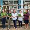 Membangun Mini Greenhouse dan Budidaya Tanaman Pangan dengan Kreativitas Mahasiswa Agribisnis Universitas Katolik Widya Karya