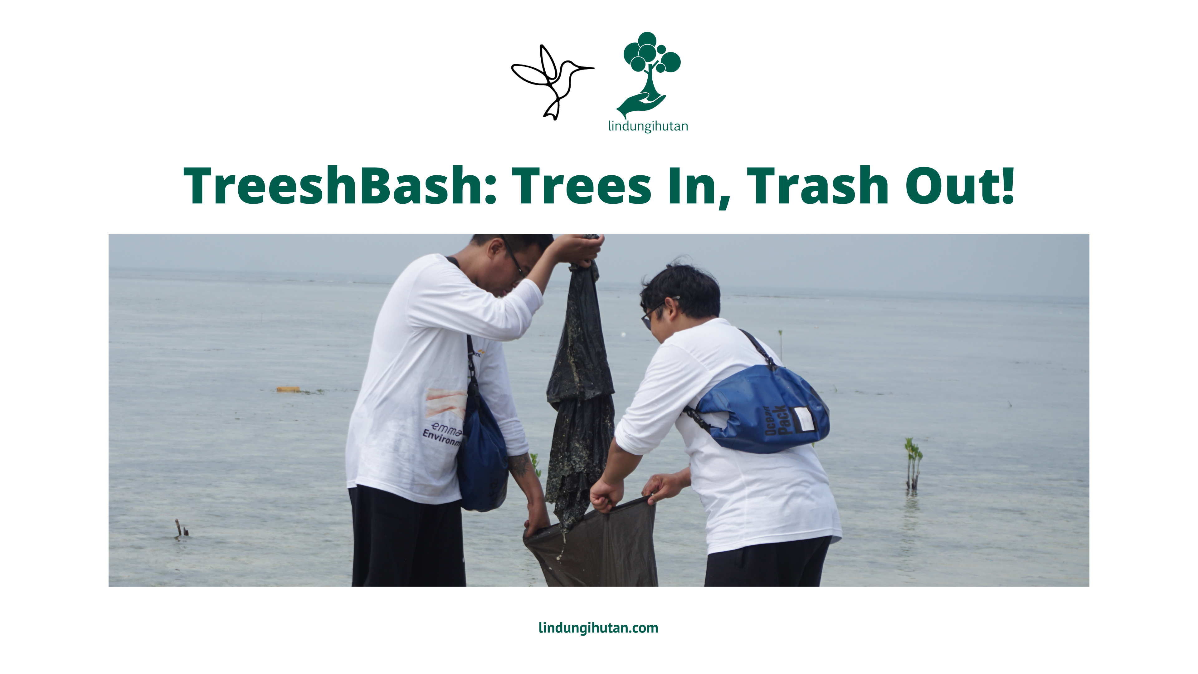 TreeshBash: Kolaborasi Terbaik untuk Mewujudkan Lingkungan yang Berkelanjutan