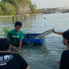 Rayakan Peluncuran Album Terbaru, Rebellion Rose Tanam 1.010 Mangrove di Kabupaten Demak