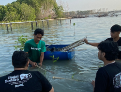 Rayakan Peluncuran Album Terbaru, Rebellion Rose Tanam 1.010 Mangrove di Kabupaten Demak