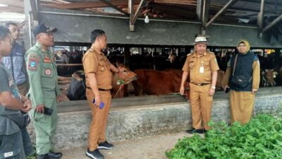 Kasus PMK Kembali Merebak, Diskannak Garut Perketat Pembelian Ternak dari Luar Daerah