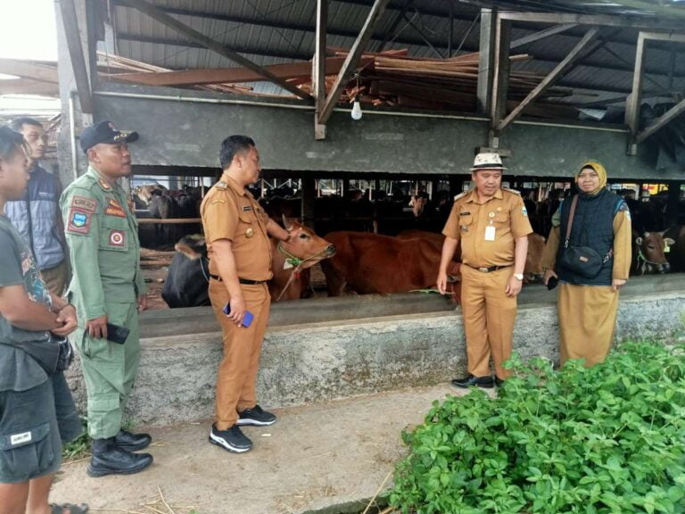 Kasus PMK Kembali Merebak, Diskannak Garut Perketat Pembelian Ternak dari Luar Daerah