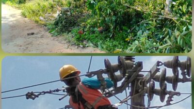 PLN Rayon Pendopo Terus Melakukan Perbaikan kabel Line Yang Putus di Kabupaten PALI