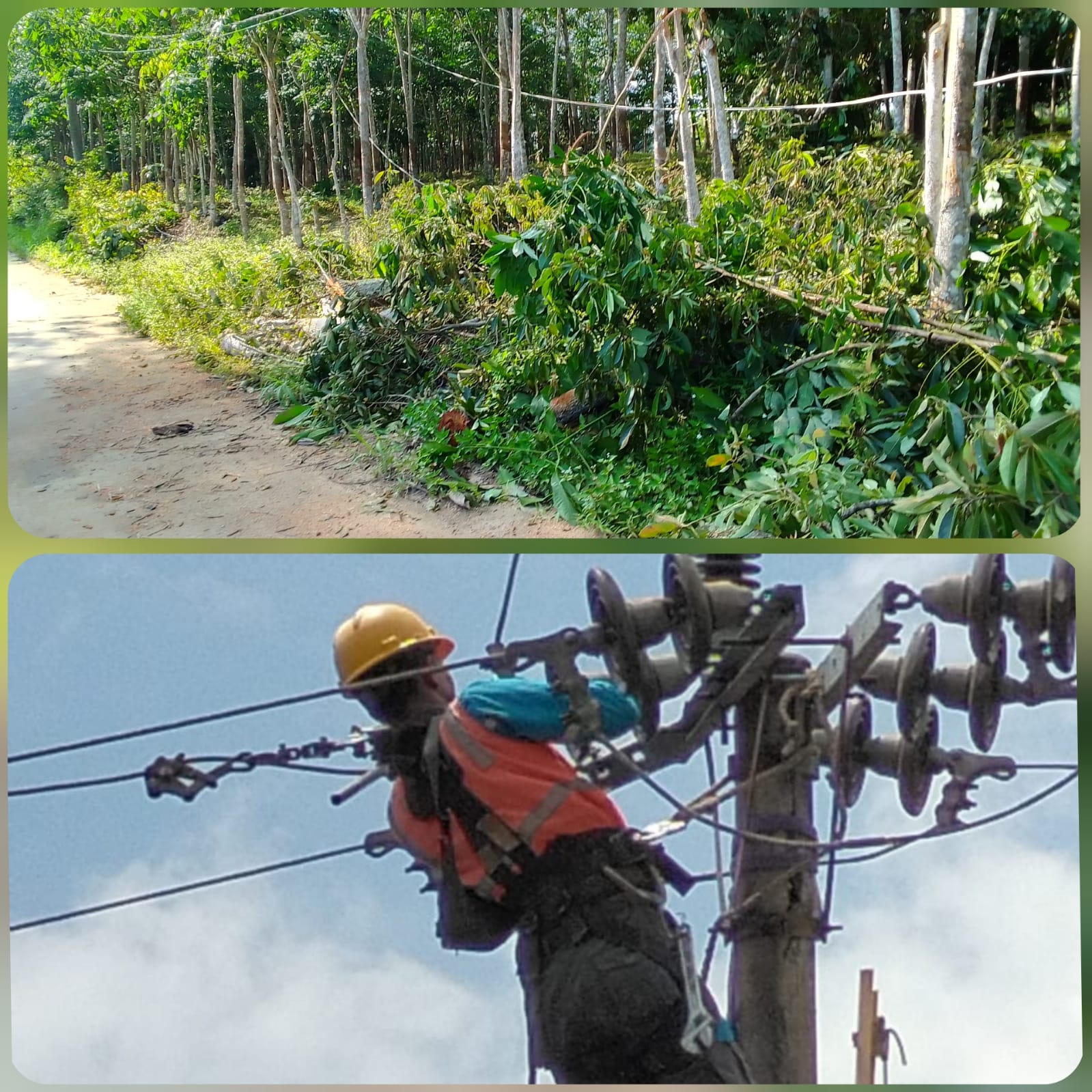 PLN Rayon Pendopo Terus Melakukan Perbaikan kabel Line Yang Putus di Kabupaten PALI