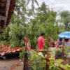 Akibat Hujan Disertai Angin kencang Salah Satu Rumah Warga Bantarsari Ambruk Rata dengan Tanah Tertimpa Pohon