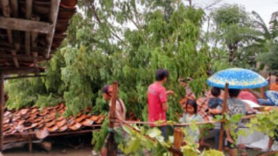 Akibat Hujan Disertai Angin kencang Salah Satu Rumah Warga Bantarsari Ambruk Rata dengan Tanah Tertimpa Pohon